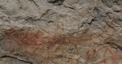 Ancient rock paintings discovered in Nong Bua Lamphu cave