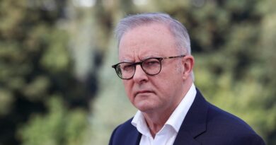 Australia joins call for AI safeguards amid warnings of out-of-control risks