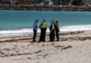 Man död i hajattack vid strand i Australien Man död i hajattack vid strand i Australien