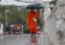 More rain forecast next week