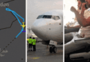 Pilot arrested after midair ‘stabbing and crash attempt’, heroes praised for thwarting disaster