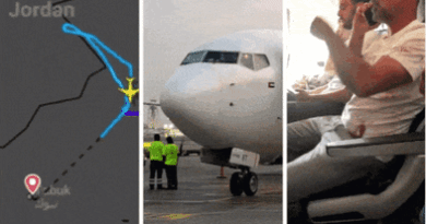 Pilot arrested after midair ‘stabbing and crash attempt’, heroes praised for thwarting disaster