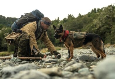 Review: In ‘Heart of the Beast,’ Brad Pitt and his dog battle nature itself Review: In ‘Heart of the Beast,’ Brad Pitt and his dog battle nature itself