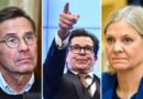 Statsvetarna om talmannens nästa steg: ”Rimligaste”