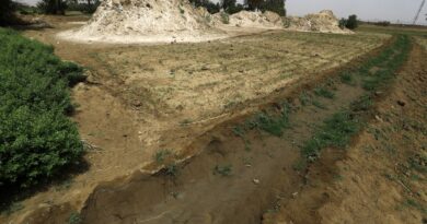 Sudan gold mine collapse kills at least 60: survivors to AFP Sudan gold mine collapse kills at least 60: survivors to AFP