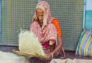 Indian 5 pc broken rice prices may rise by USD 60 per tonne amid freight costs, global supply risks: IREF
