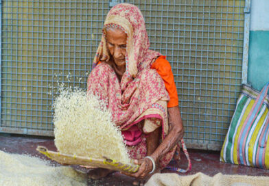 Indian 5 pc broken rice prices may rise by USD 60 per tonne amid freight costs, global supply risks: IREF
