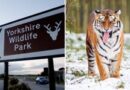 Kusliga orden före dödliga tigerattacken i Yorkshire