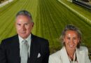 Profits prompt Wilson’s departure from VRC as he downplays talk of board rift