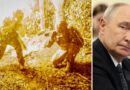 Putins ord döms ut: Hallucinationer Putins ord döms ut: Hallucinationer