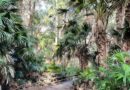 Teen, 13, charged as police investigate alleged sex offences on walking trails Teen, 13, charged as police investigate alleged sex offences on walking trails