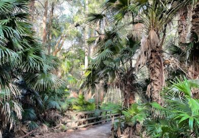 Teen, 13, charged as police investigate alleged sex offences on walking trails