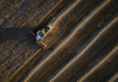 The world needs Ukraine’s grain. Its farmers are running out of reasons to plant The world needs Ukraine’s grain. Its farmers are running out of reasons to plant