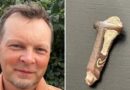 Undervisar om vikingar – gjorde vikingafynd: ”Galet”