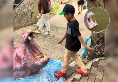 Zoo turns viral hippo feeding fail into visitor attraction